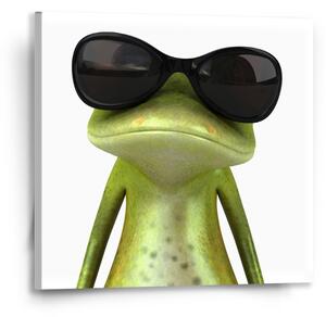 Sablio Obraz Žába v brýlích - 50x50 cm