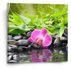 Sablio Obraz Růžová orchidej - 50x50 cm
