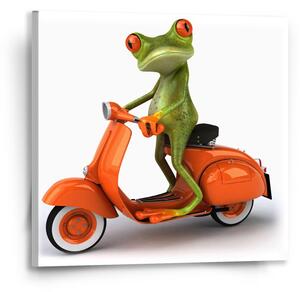 Sablio Obraz Žába na motorce - 50x50 cm