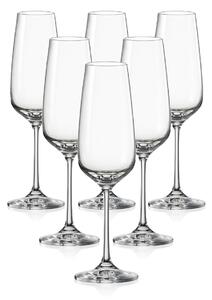 Crystalex 6dílná sada sklenic na šampaňské GISELLE, 190 ml