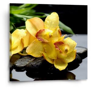 Sablio Obraz Žluté orchideje - 50x50 cm