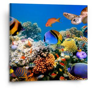 Sablio Obraz Korálový útes - 110x110 cm