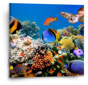 Sablio Obraz Korálový útes - 50x50 cm
