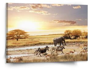 Sablio Obraz Safari - 150x110 cm