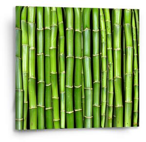 Sablio Obraz Bambus - 50x50 cm