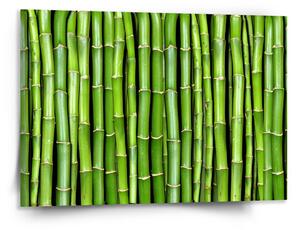 Sablio Obraz Bambus - 150x110 cm