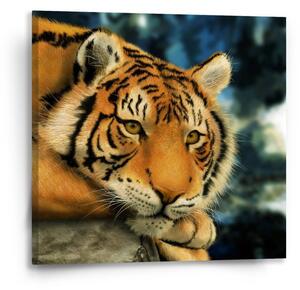 Sablio Obraz Tygr - 50x50 cm