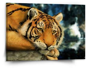 Sablio Obraz Tygr - 150x110 cm
