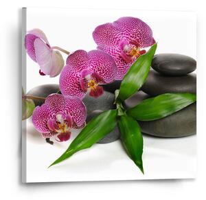 Sablio Obraz Orchideje a kameny - 50x50 cm
