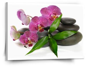Sablio Obraz Orchideje a kameny - 150x110 cm