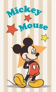 Dětský froté ručník Hvězda Mickey Mouse 30x50 cm