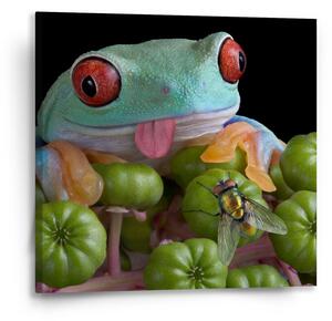 Sablio Obraz Veselá žába - 50x50 cm