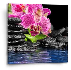Sablio Obraz Orchidej na kamenech - 50x50 cm