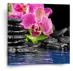 Sablio Obraz Orchidej na kamenech - 110x110 cm