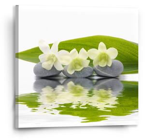 Sablio Obraz Bílá orchidej - 50x50 cm