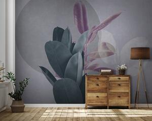Fototapety Ficus na pozadí grungeové zdi v šedých tónech, Fototapety příroda, Fototapety listy, u71334v3 : uwalls.cz