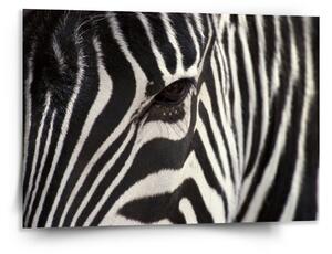Sablio Obraz Detail zebra - 150x110 cm