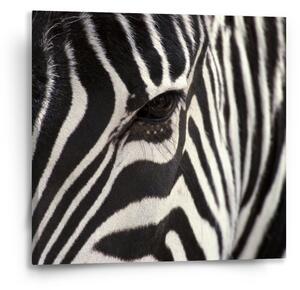 Sablio Obraz Detail zebra - 50x50 cm
