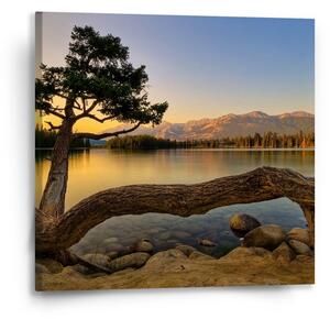 Sablio Obraz Strom u jezera - 50x50 cm