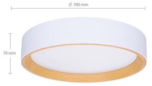 Brilagi -LED Stmívatelné svítidlo LARIOS LED/48W/230V 3000-6500K pr. 39 cm bílá+DO