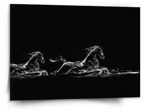 Sablio Obraz Vodní kůň - 150x110 cm