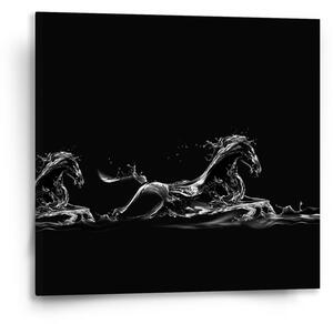 Sablio Obraz Vodní kůň - 50x50 cm