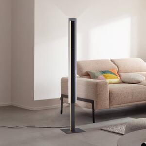 Schöner Wohnen LED stojací lampa Lena, železo, černá, stmívač, stmívatelný, Černá, Obývací pokoj / jídelna, kov, Moderní