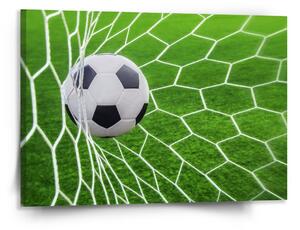 Sablio Obraz Fotbalový míč v bráně - 150x110 cm