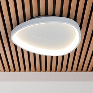 Näve LED stropní svítidlo Argesa Ø 60,5 cm, bílé, dálkové ovládání, stmívatelný, Bílá / opál, Obývací pokoj / jídelna, kov, Moderní