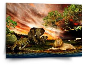Sablio Obraz Zvířata ze Sahary - 150x110 cm