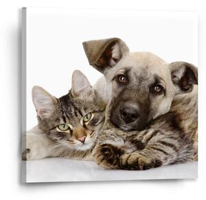 Sablio Obraz Kočička a štěňátko - 50x50 cm