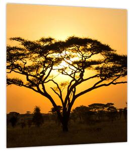 Obraz - Africká savana (30x30 cm)