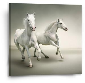 Sablio Obraz Dva bílí koně - 50x50 cm