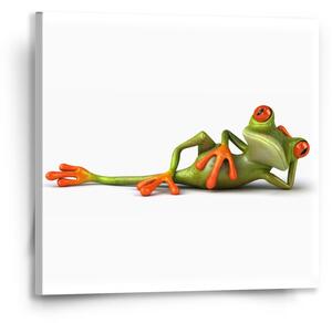 Sablio Obraz Ležící žába - 50x50 cm