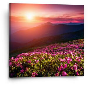 Sablio Obraz Rozkvetlá příroda - 50x50 cm