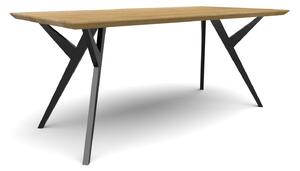 Jídelní stůl Ledňáček velikost stolu (D x Š): 160 x 80 (cm)