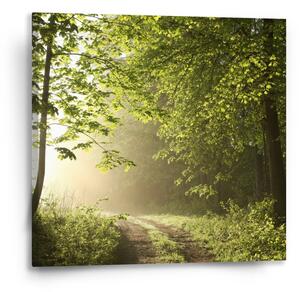 Sablio Obraz Lesní cesta - 50x50 cm