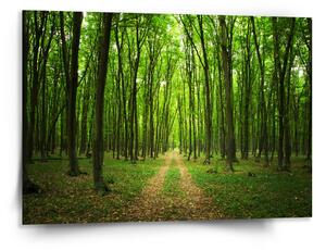 Sablio Obraz Cesta v lese - 150x110 cm