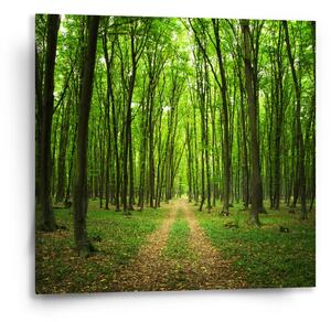 Sablio Obraz Cesta v lese - 50x50 cm