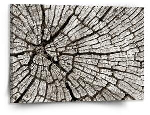 Sablio Obraz Dřevo - 150x110 cm