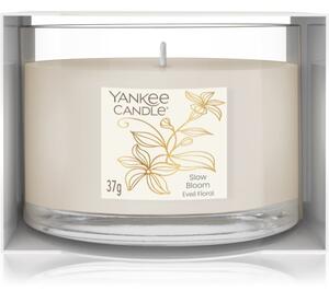 Yankee Candle Little Luxuries Slow Bloom votivní svíčka 37 g