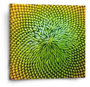 Sablio Obraz Detailní květ - 50x50 cm