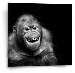 Sablio Obraz Orangutan - 50x50 cm