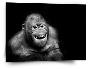 Sablio Obraz Orangutan - 150x110 cm