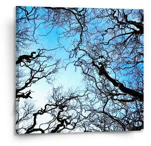 Sablio Obraz Holé větve - 110x110 cm