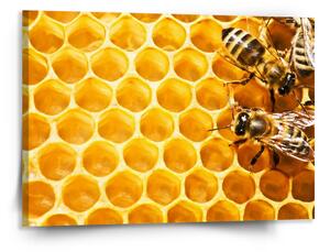 Sablio Obraz Včely - 150x110 cm