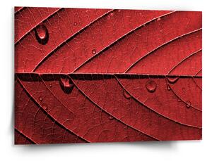 Sablio Obraz Červený list - 150x110 cm