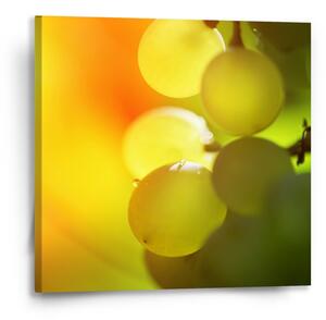 Sablio Obraz Hroznové víno - 50x50 cm