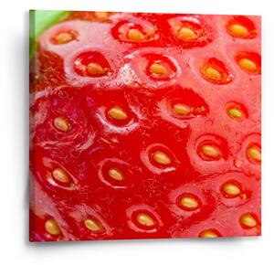 Sablio Obraz Detail jahody - 50x50 cm