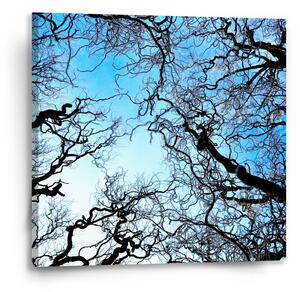 Sablio Obraz Holé větve - 50x50 cm
